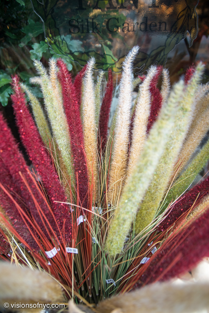 Garden — photo 016