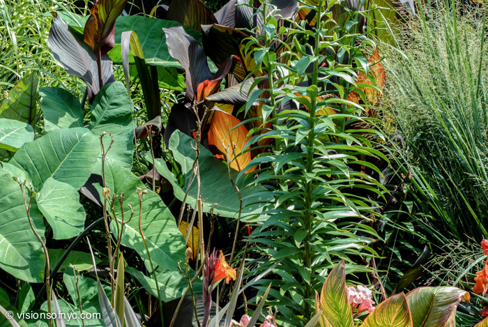 Garden — photo 020
