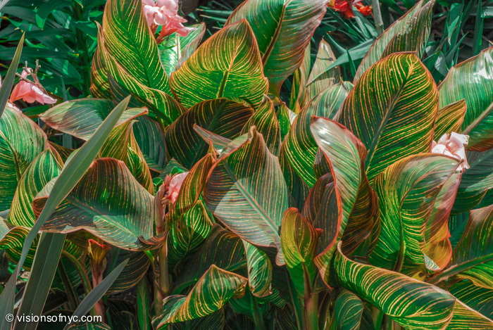 Garden — photo 021