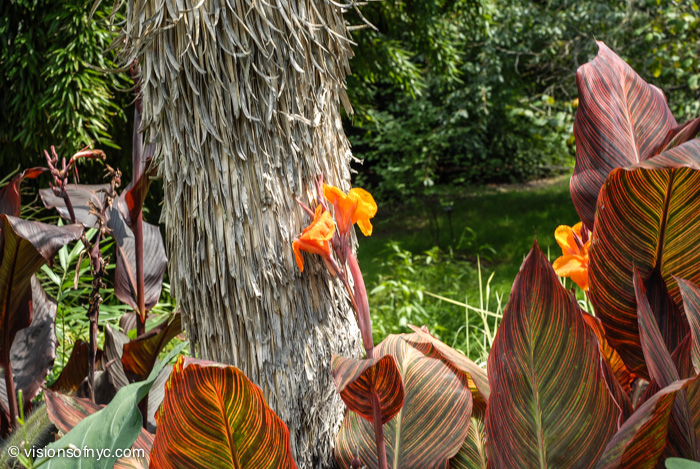 Garden — photo 022