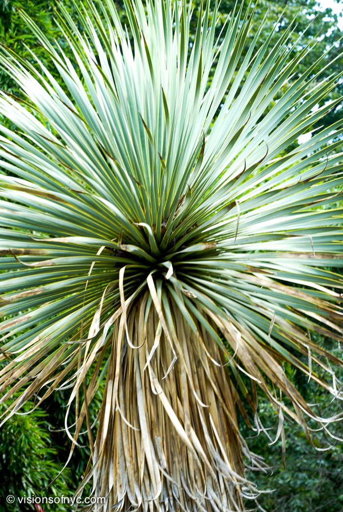 Garden — photo 023