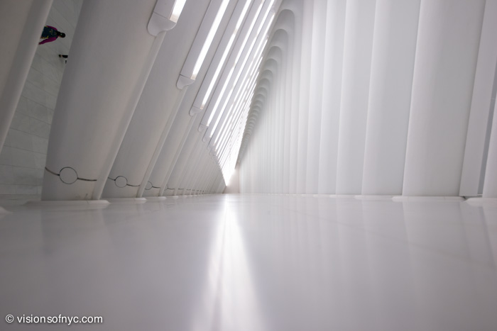 Interiors — photo 026