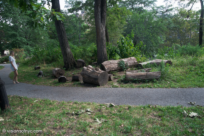 Landscapes — photo 010