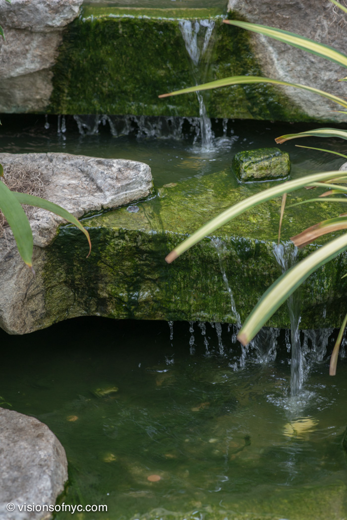 Landscapes — photo 013
