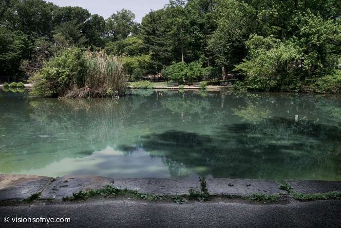 Landscapes — photo 014