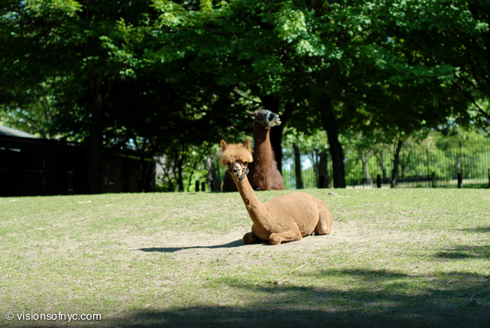 Landscapes — photo 017