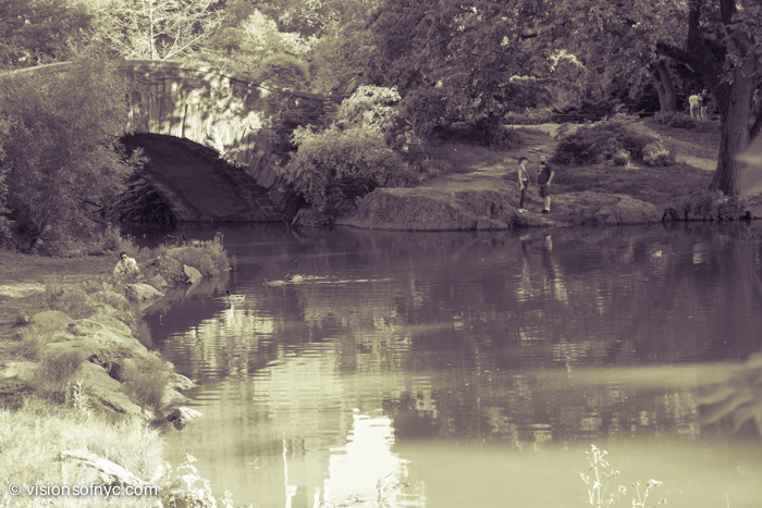 Landscapes — photo 018