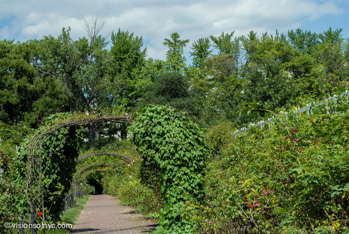 Landscapes — photo 019