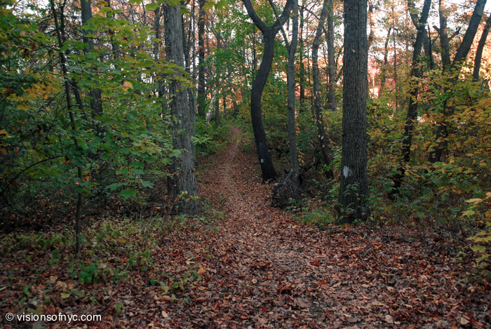 Landscapes — photo 027