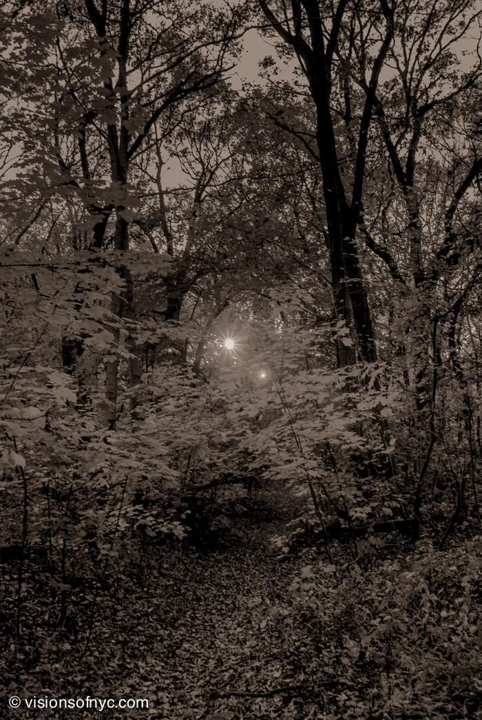 Landscapes — photo 029