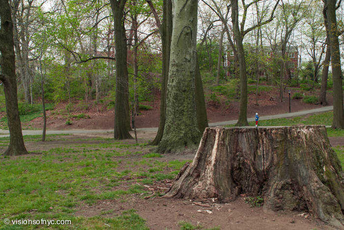 Landscapes — photo 031