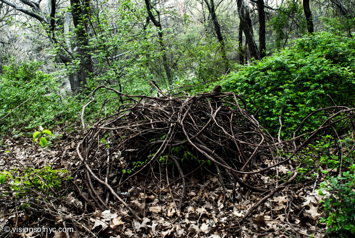 Landscapes — photo 033