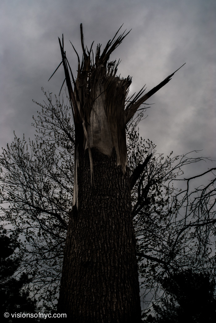 Landscapes — photo 035