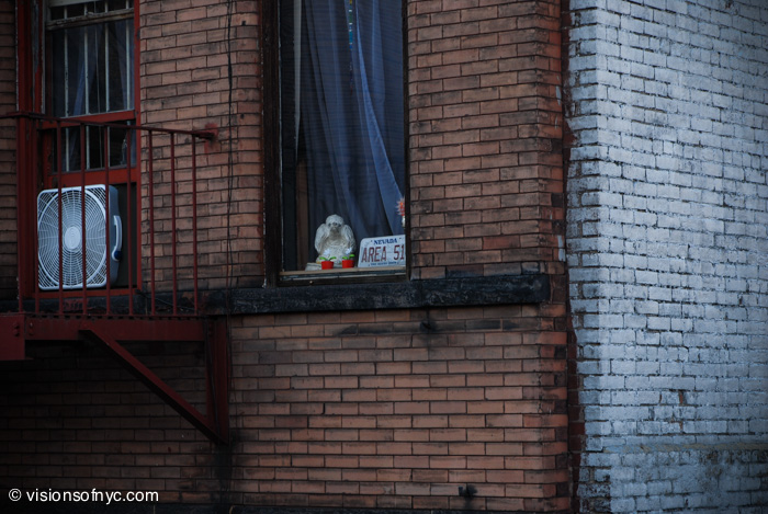 Street Photography — photo 010