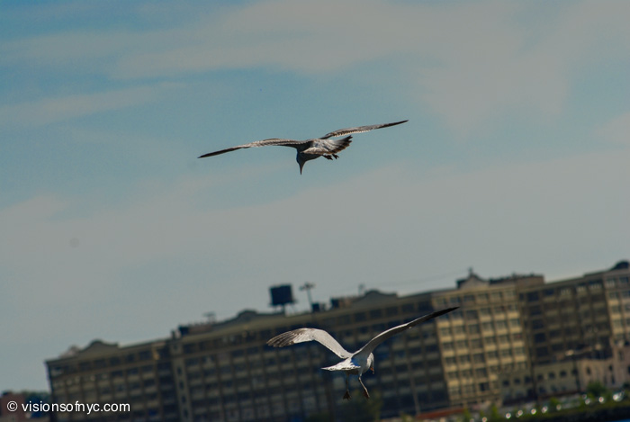 Street Photography — photo 081